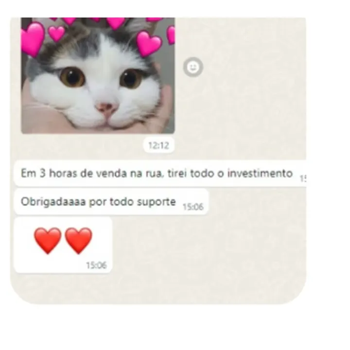 Em 3 horas de venda na rua, tirei todo o investimento.